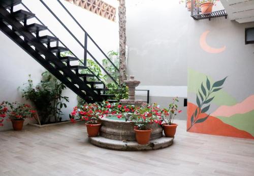 Vybavení, Casa Doper Relox SELFSERVICE in San Miguel De Allende