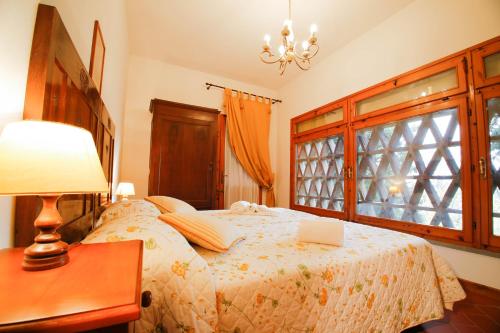 Casa Montecuccoli - image 14