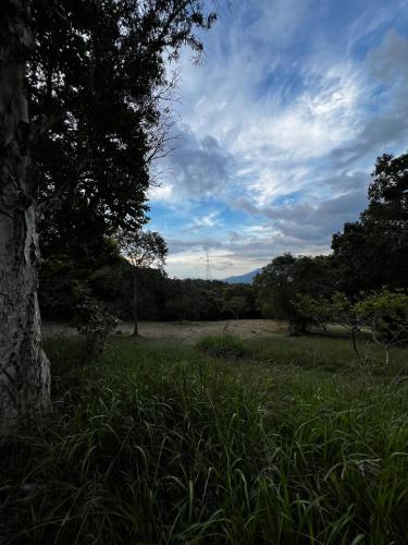 Yarumito Finca Hotel l Cabaña Girasol
