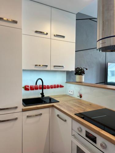 Pomorska Apartment, Breslau (Foto 5)