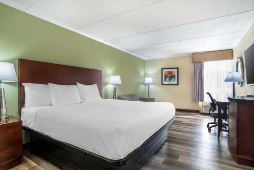 1 king bed