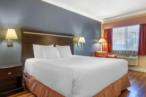1 king bed