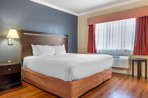 1 king bed, 1 queen bed, 1 sofa bed