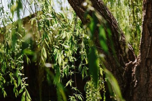 Burrundulla at The Willows - Moden Mudgee Escape