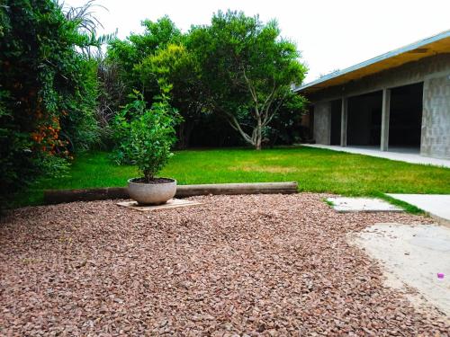 El yugo in Balneario Buenos Aires