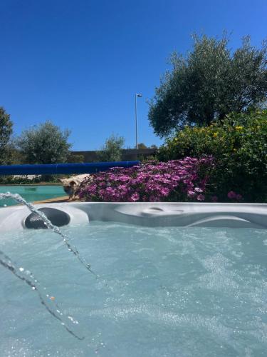 Gîte Les Lauriers Roses Gîte Les Lauriers Roses