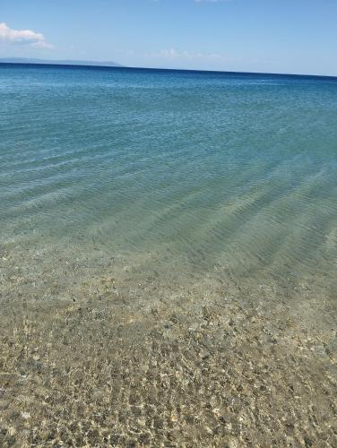 Bella Vista Apartments - image 12