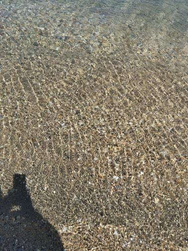 Bella Vista Apartments - image 4