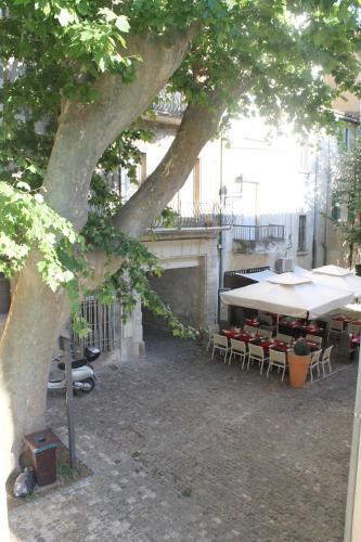 Studios entre le Pont d' Avignon et le Palais des Papes - image 13