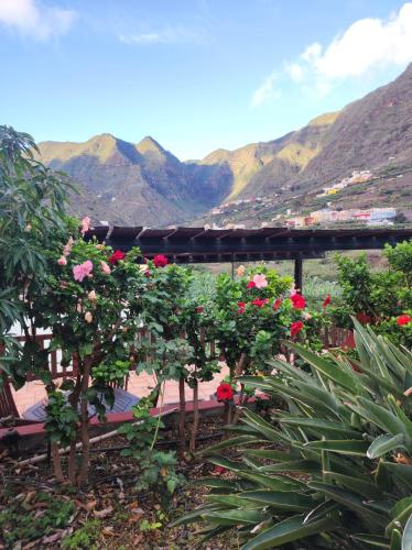 Casa Rural La Pitanga