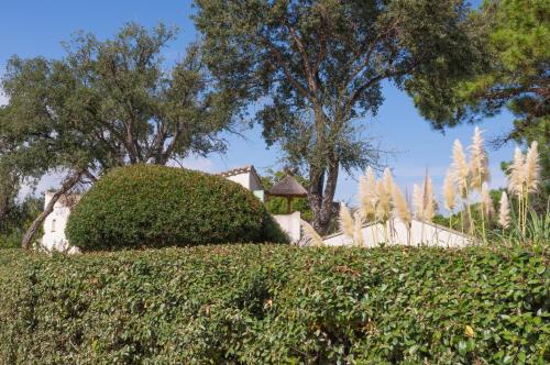 Résidence Domaine De Caranella - image 10