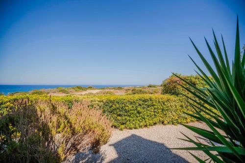Homely Coastal Retreat with Stunning Views
