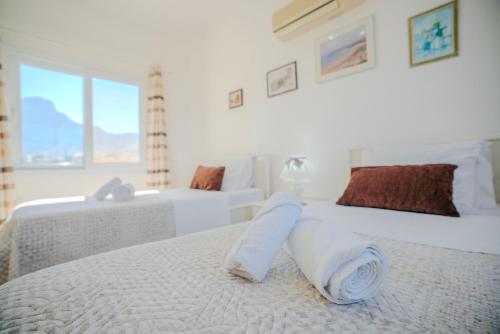 Homely Coastal Retreat with Stunning Views