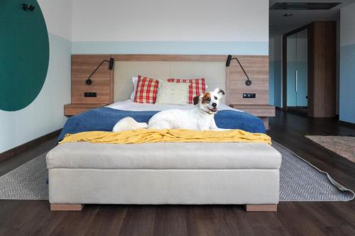 WN LAB Hotel - including breakfast and parking Room Type - Pet Friendly Deluxe Double Room