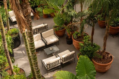 Palazzo Talìa - Small Luxury Hotels of the World - image 12