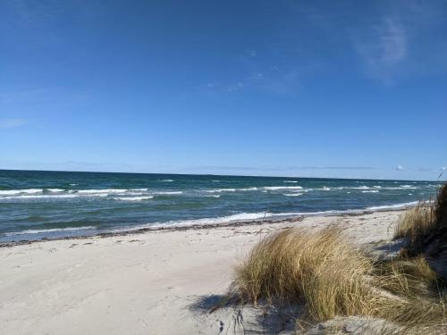 Haus Wellenrauschen in Zingst