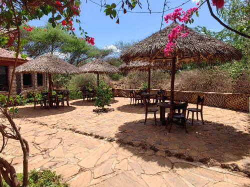 Kilátás, AA Lodge Amboseli in Amboseli Nemzeti Park
