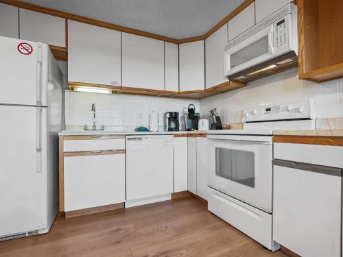 ML190 Peace Tranquility Sleeps 8 Washer Dryer WiFi Parking in Snowshoe, USA