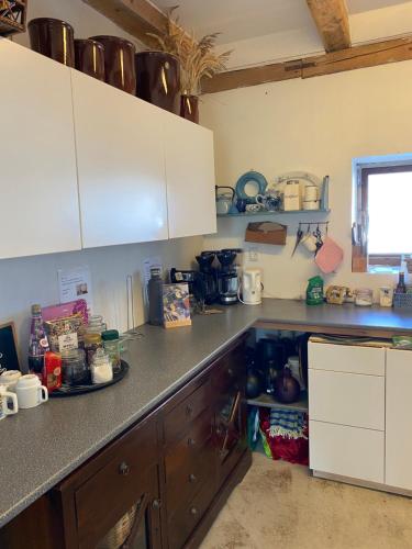 ห้องครัว, Pilemosegaard in รอสคิลเดอ