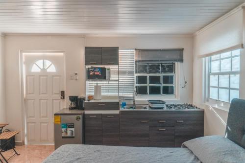 One-Bedroom Apartment image 2