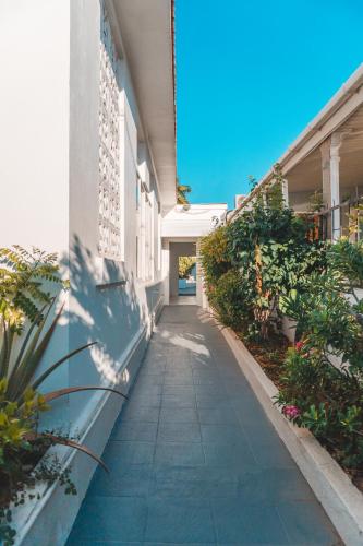 ogród, Klip lagoon apartsments in Oranjestad