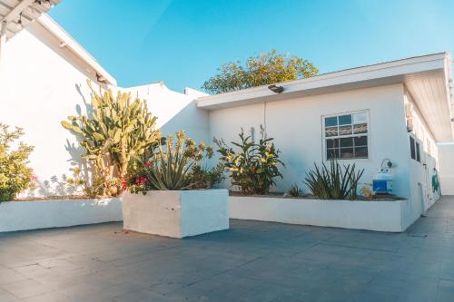 ogród, Klip lagoon apartsments in Oranjestad