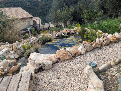 Maison L'Aloé, Nice (photo 7)