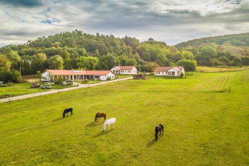 Bánvölgye Vendégház és Apartmanok - Bánhorváti