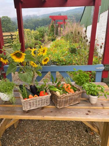 Ballyknocken Milking Parlour Self Catering Apartment - image 6