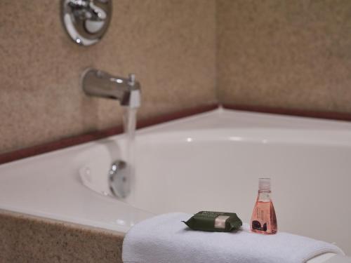 采尔马特Spa度假村标志精选酒店 采尔马特Spa度假村标志精选酒店