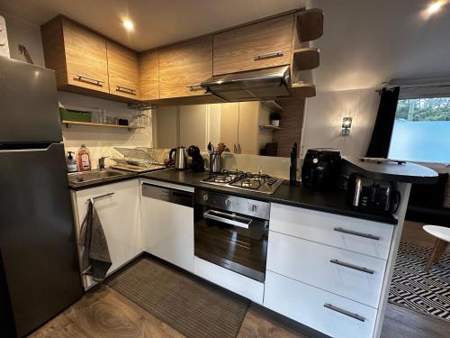 Grand Mobil Home Tout Confort pour 6 personnes - Camping Les Oyats 4 étoiles (Grand Mobil Home Tout Confort pour 6 personnes - Camping Les Oyats 4 etoiles) in Сеньос