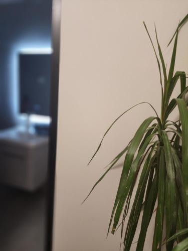 Apartament Tirana Contact, Tirana (photo 3)