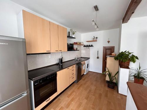virtuve, Apartmán u Poustevníka (Apartman u Poustevnika) in Kajov