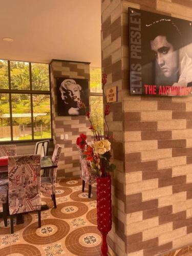 Hotel Hollywood Paradise ZF Hotel Hollywood Paradise ZF