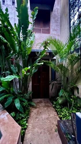Centro, sumptuous house Doña Guiomar! in Mérida, Mexico