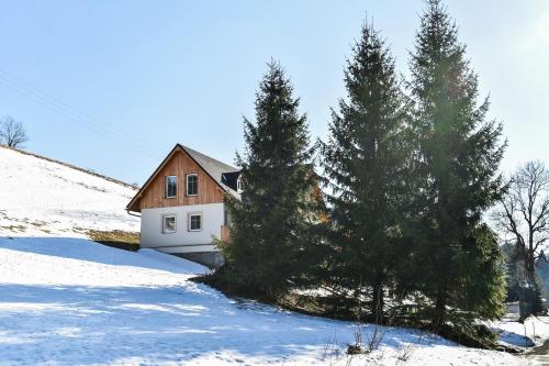 Apartmán v srdci Krkonoš Apartmán v srdci Krkonoš