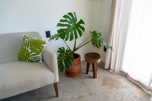 Casa Guapita in Playa del Carmen, Mexico