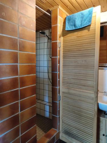 Shower, Schaferwagen Grunspecht in Ratingen