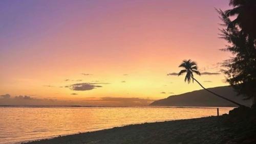 منظر, TAHITI - Domaine Mango Lodge in بابارا