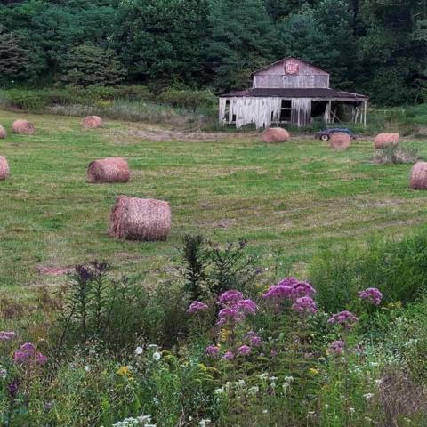 Onyx Owl Cabin - Waterfalls - Trails - Vineyard - Zipline - Golf in Scaly Mountain, USA