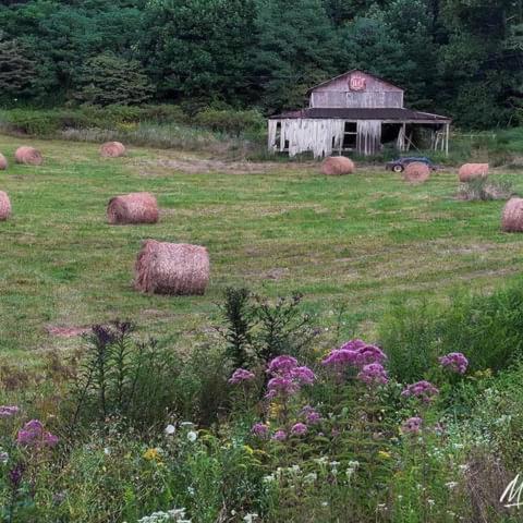 Onyx Owl Cabin - Waterfalls - Trails - Vineyard - Zipline - Golf in Scaly Mountain, USA