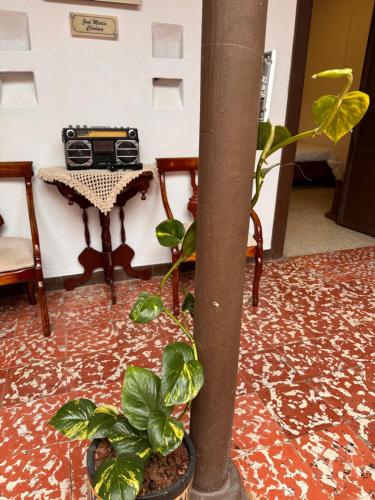 Vivienda turística Casa Rionegro Colonial Vivienda turística Casa Rionegro Colonial