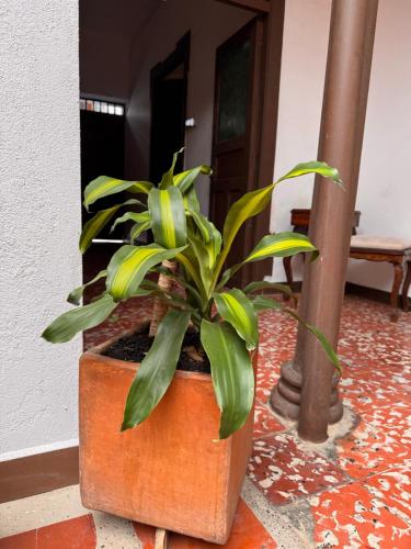 Vivienda turística Casa Rionegro Colonial Vivienda turística Casa Rionegro Colonial