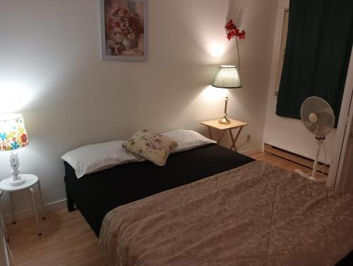 End of Season Sale- Cheap Rooms in Surrey- Hurry Last 3 Days in Surrey, Canada