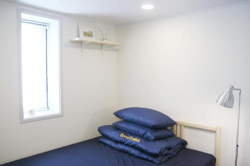 Seoul Dalbit Dongdaemun Guesthouse, Soul (fotografie 6)