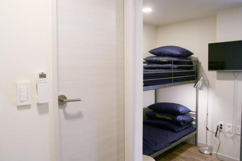 Seoul Dalbit Dongdaemun Guesthouse, Soul (fotografie 10)