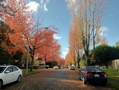 Cheap Room Near Langley Downtown- End of Year Sale in Langley, Canada