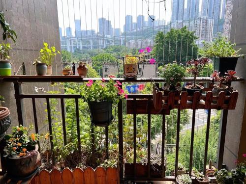 罗拉的家民宿铜元局, Chongqing (foto 9)