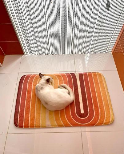 White Lagoon White Lagoon