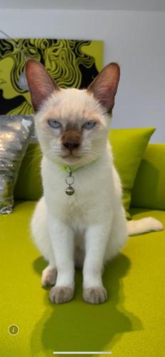 White Lagoon White Lagoon